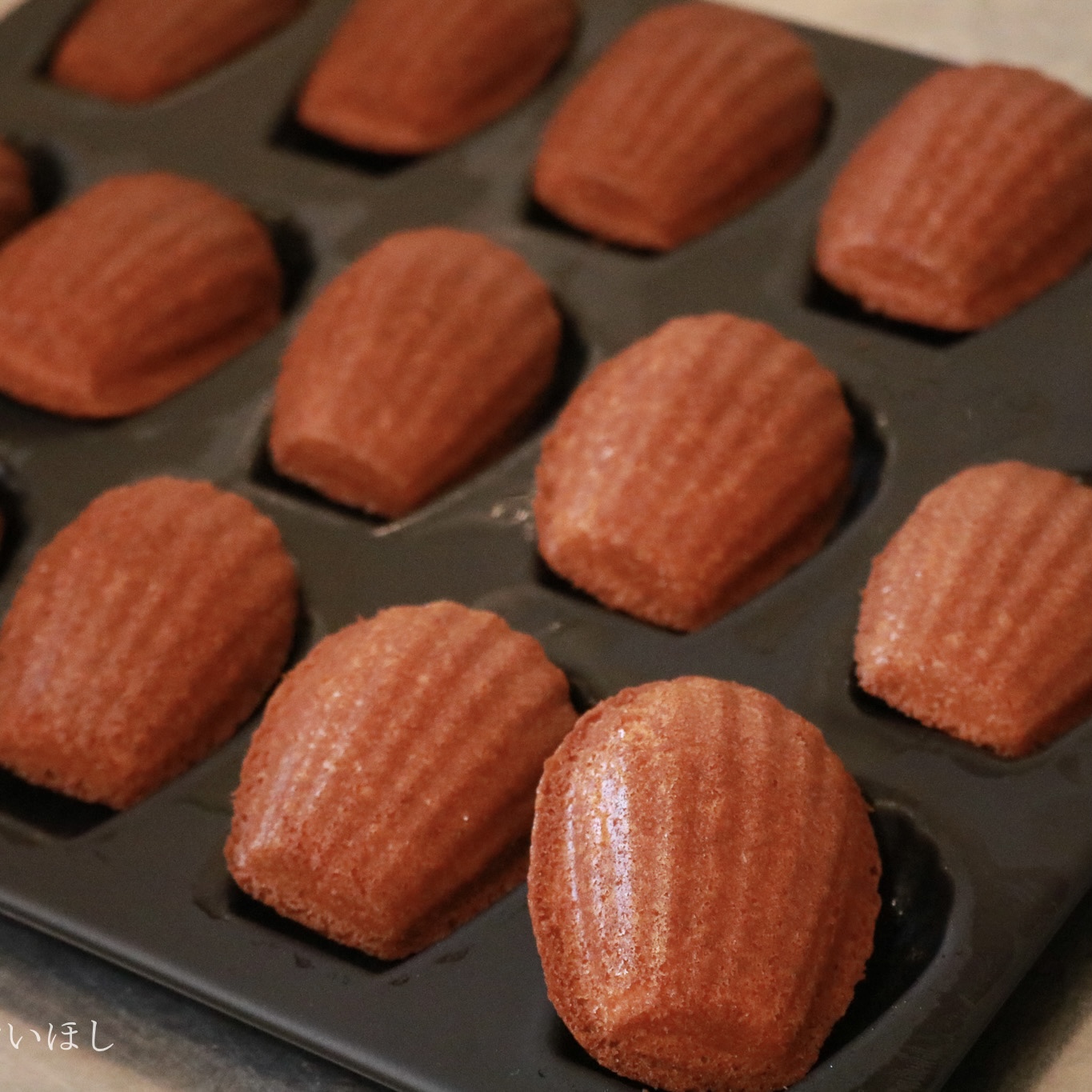 IMG_0643のコピー